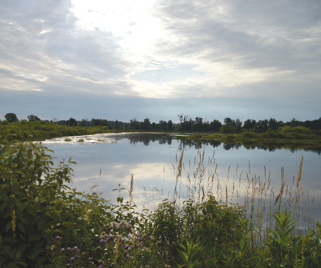 Mill Creek Wildlife Sanctuary outside of Cleveland